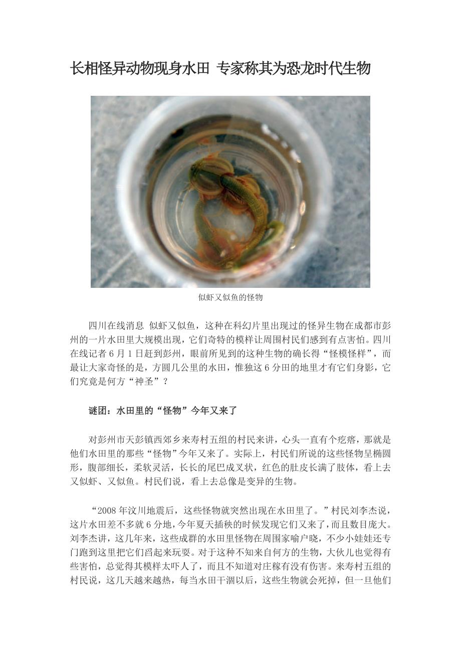 长相怪异动物现身水田专家称其为恐龙时代生物_第1页