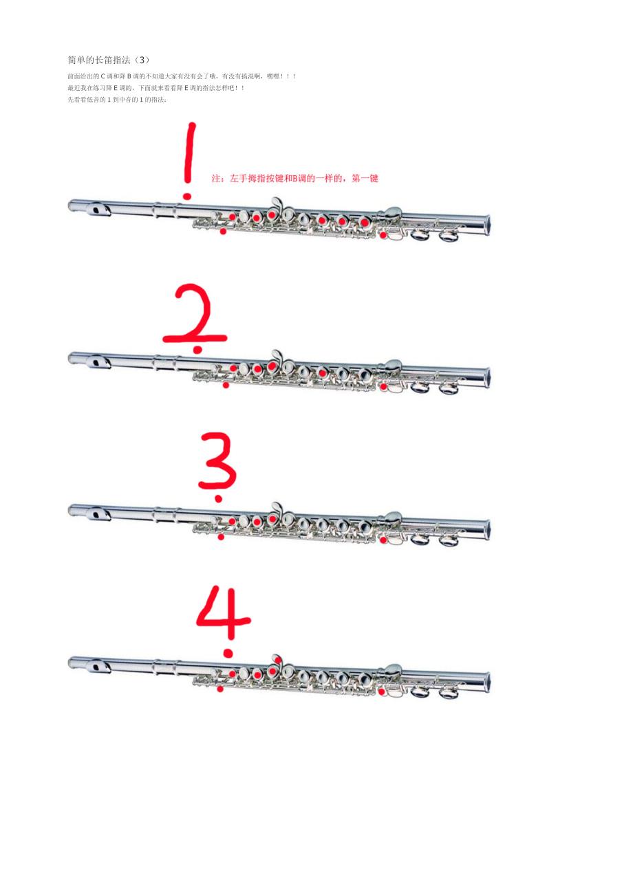 简单的长笛指法(降E调)_第1页