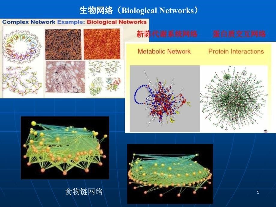 复杂网络聚类算法研究_第5页