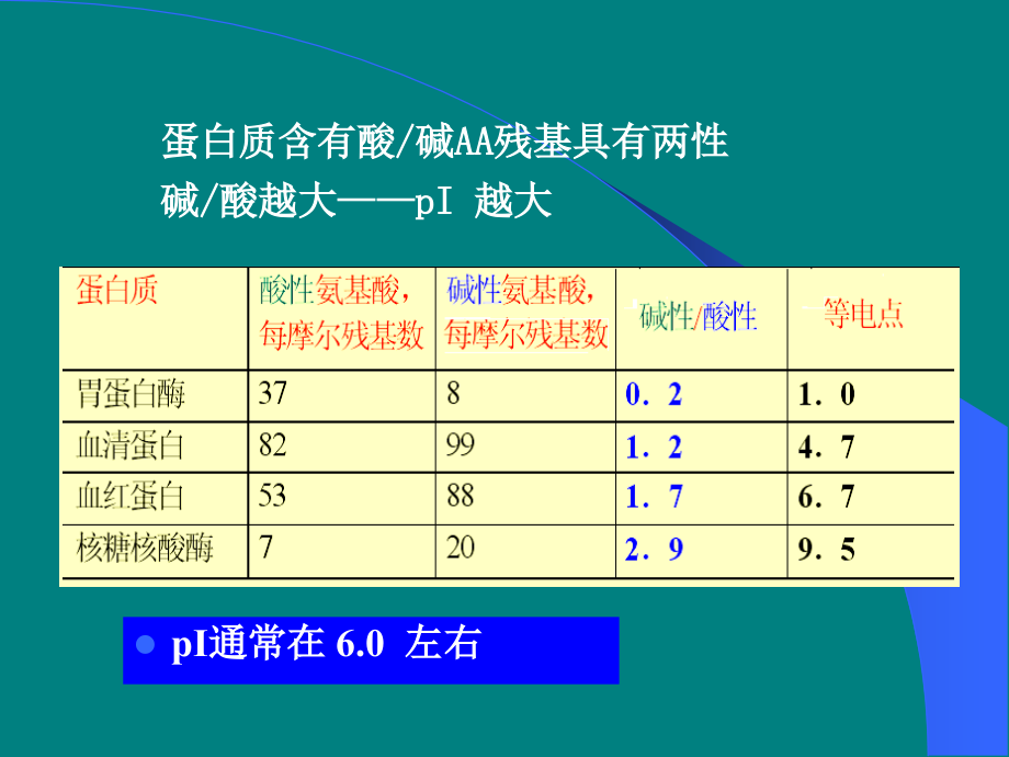 蛋白质——理化性质_第4页