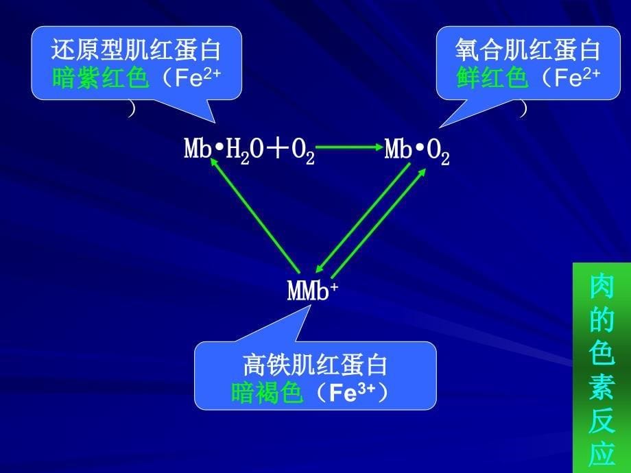 08食品发色剂和漂白剂.ppt_第5页