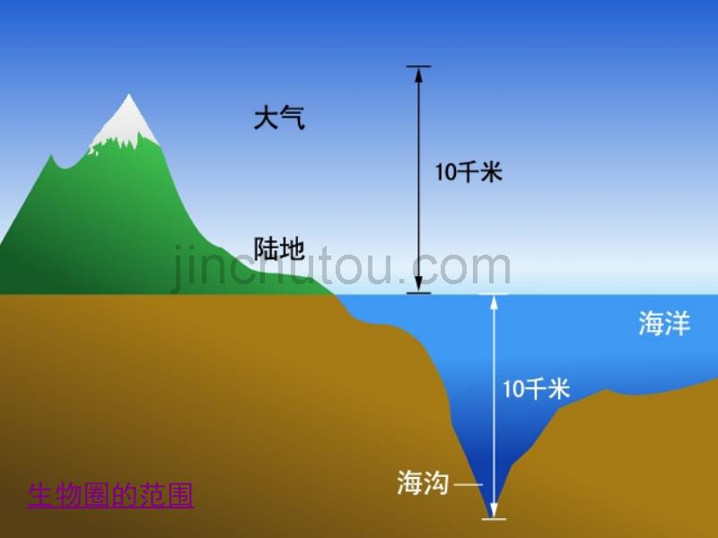 新人教版七年级上册生物圈是最大的生态系统_第5页