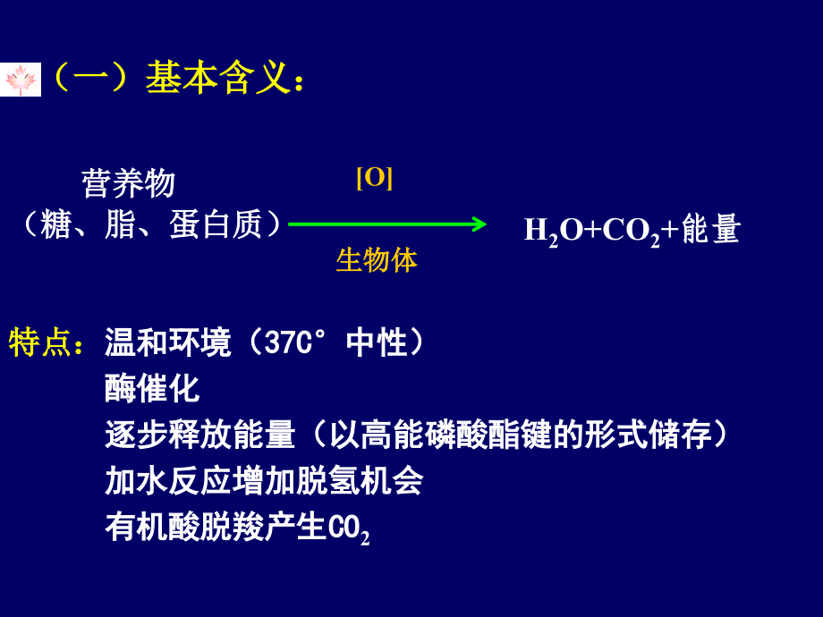 维持生命活动的能量_第3页