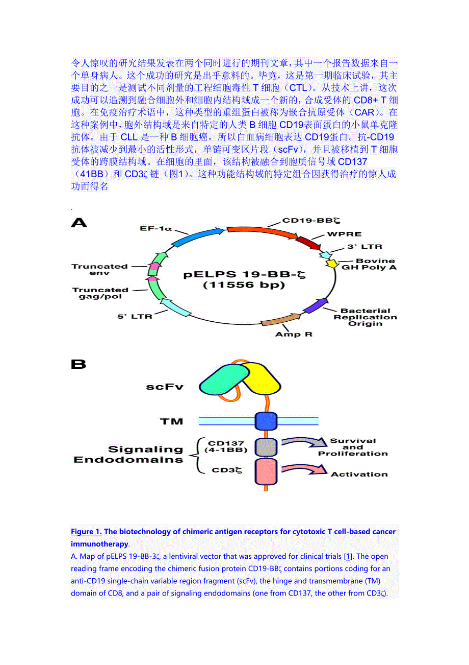 免疫学及免疫检测技术论文翻译_第3页