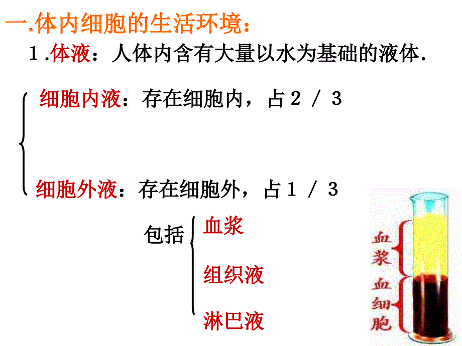 内环境稳态及其重要性_第2页