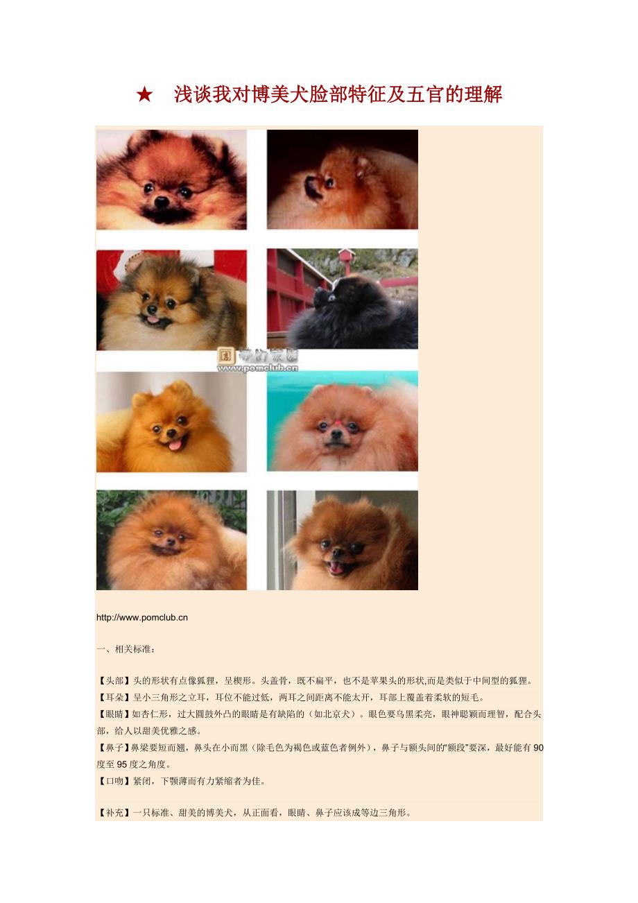 浅谈我对博美犬脸部特征及五官的理解_第1页