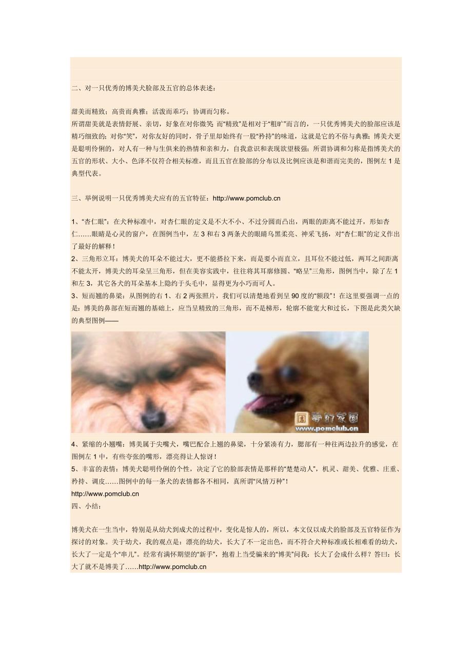 浅谈我对博美犬脸部特征及五官的理解_第2页