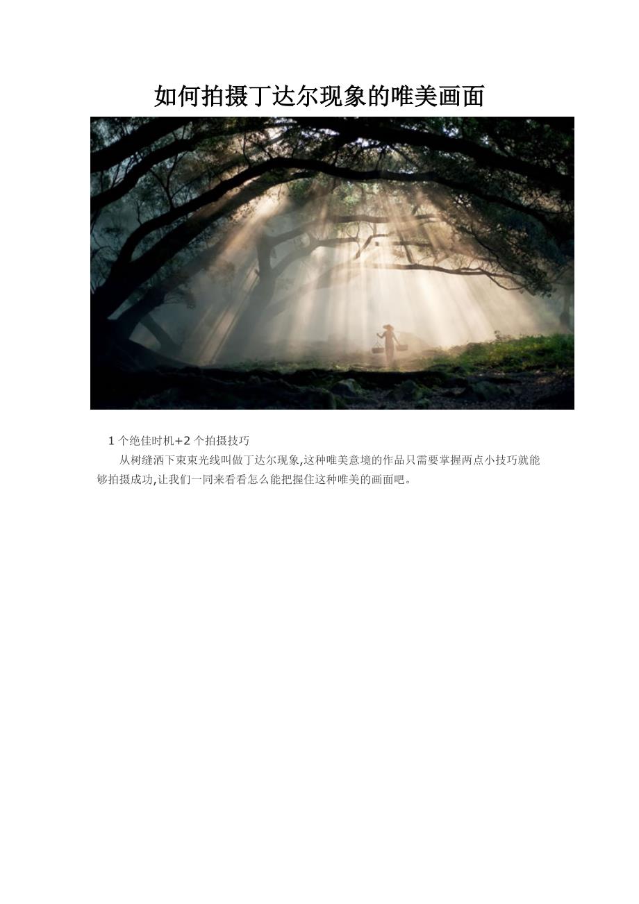 如何拍摄出丁达尔现象的唯美照片 (2)_第1页