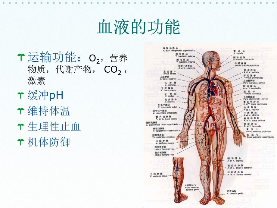 影响血液及造血系统的药物_第2页