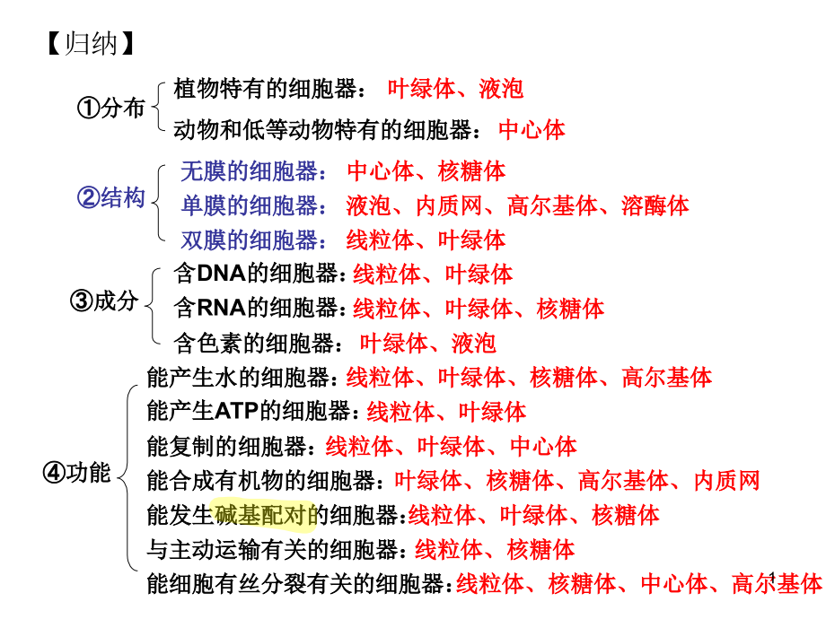 总复习——必修一_第1页