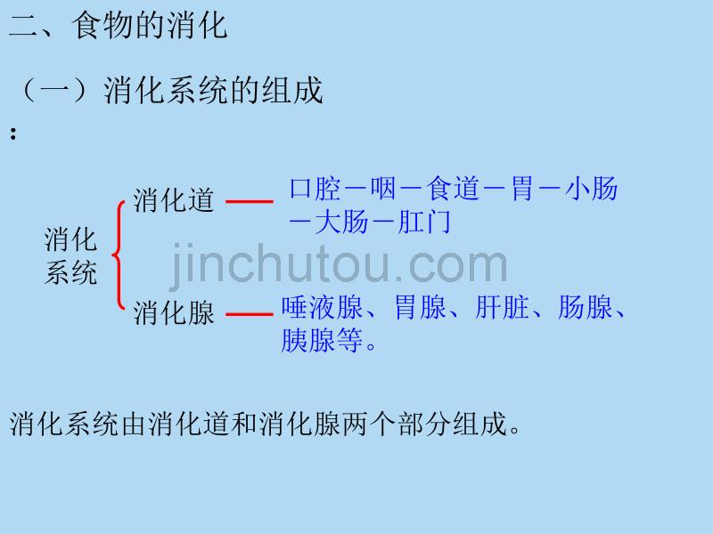 七下生物4.2.2 消化和吸收课件_第3页