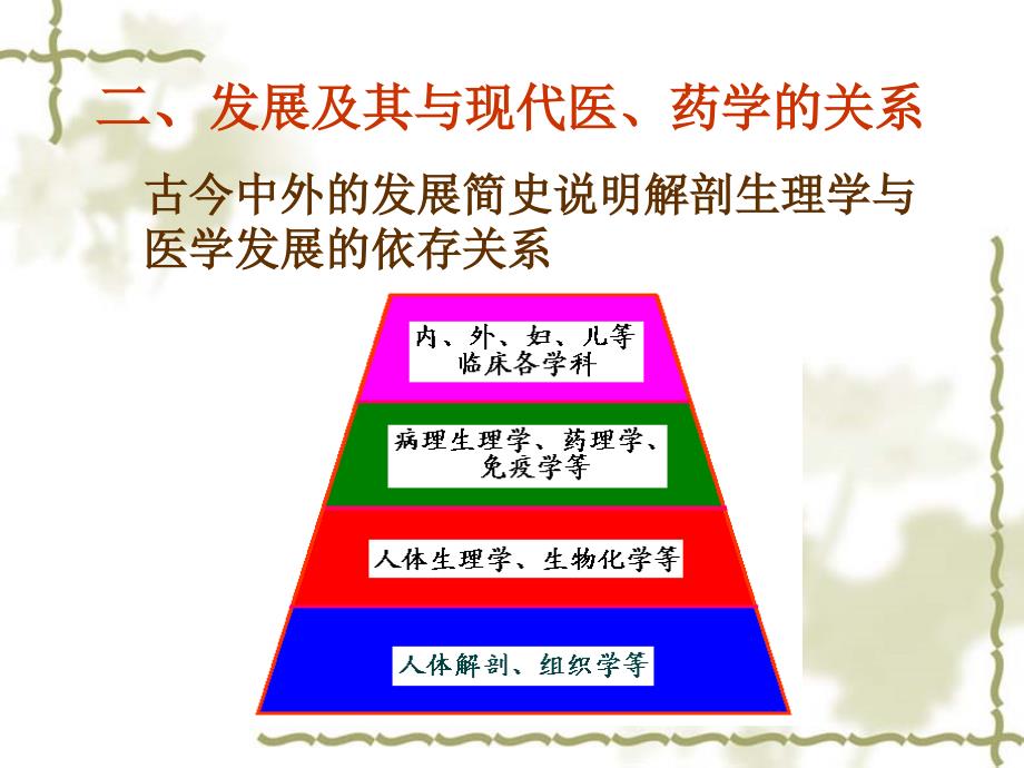 药学  解剖生理学_第4页