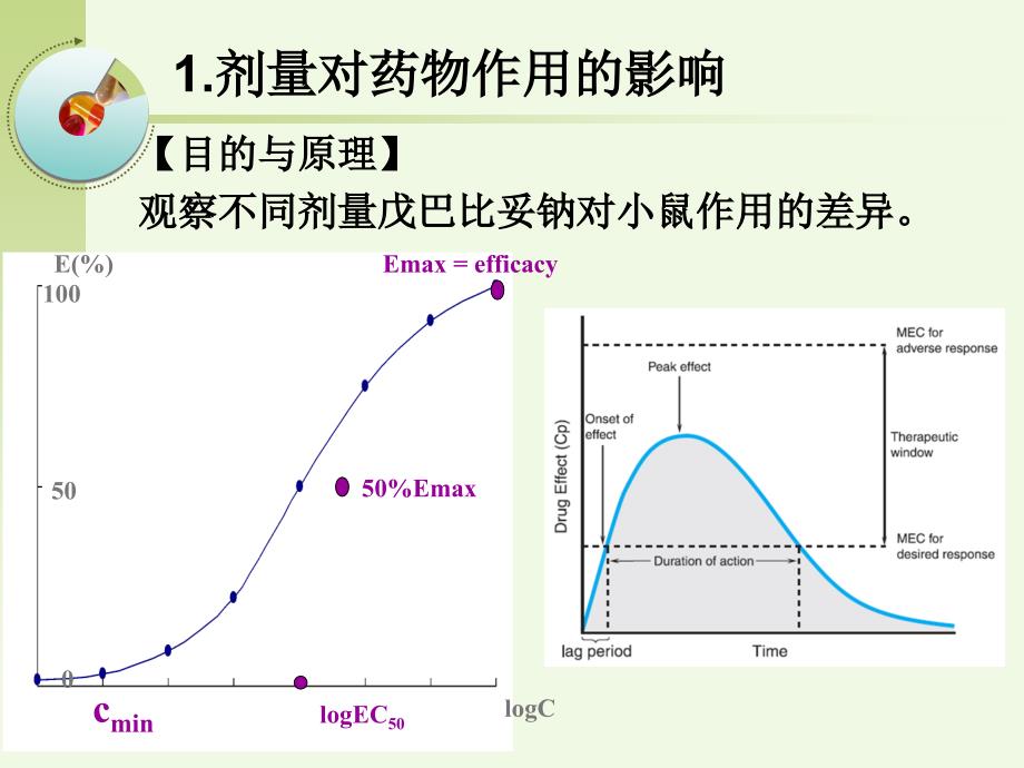 药理学影响药物作用的因素_第2页