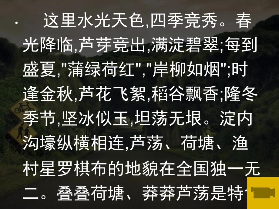 最新2018年八年级语文上册《芦花荡》课件(39页)教学优质课件_第3页