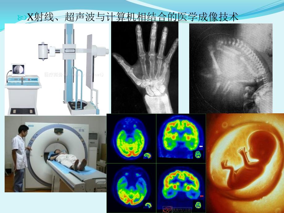 生命科学人体是怎样构成的_第5页