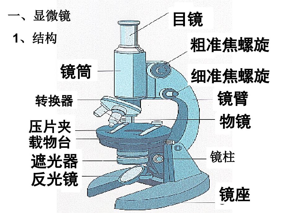 使用高倍显微镜观察几种细胞_第2页