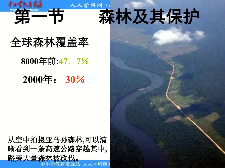 2013人教版选修6《森林及其保护》课件2_第2页