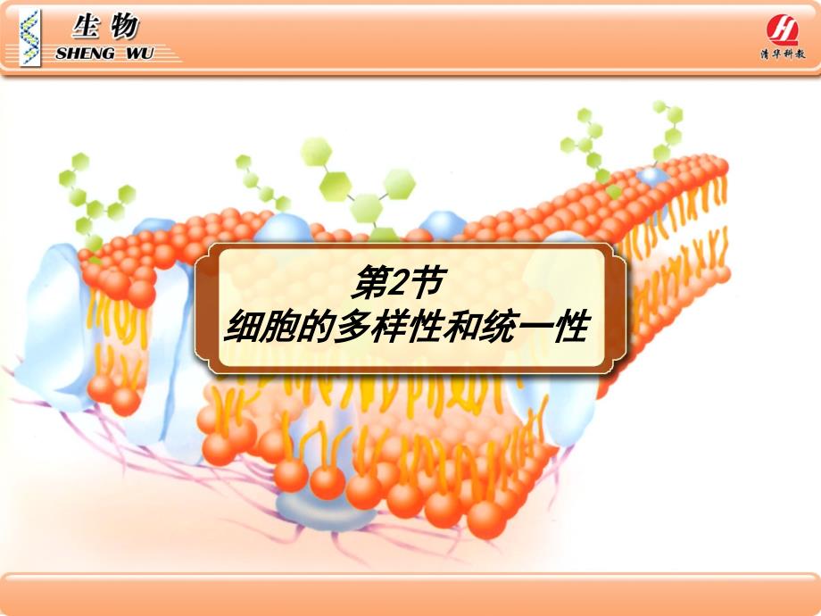 生物学①必修1.2《细胞的多样性和统一性》课件_第1页