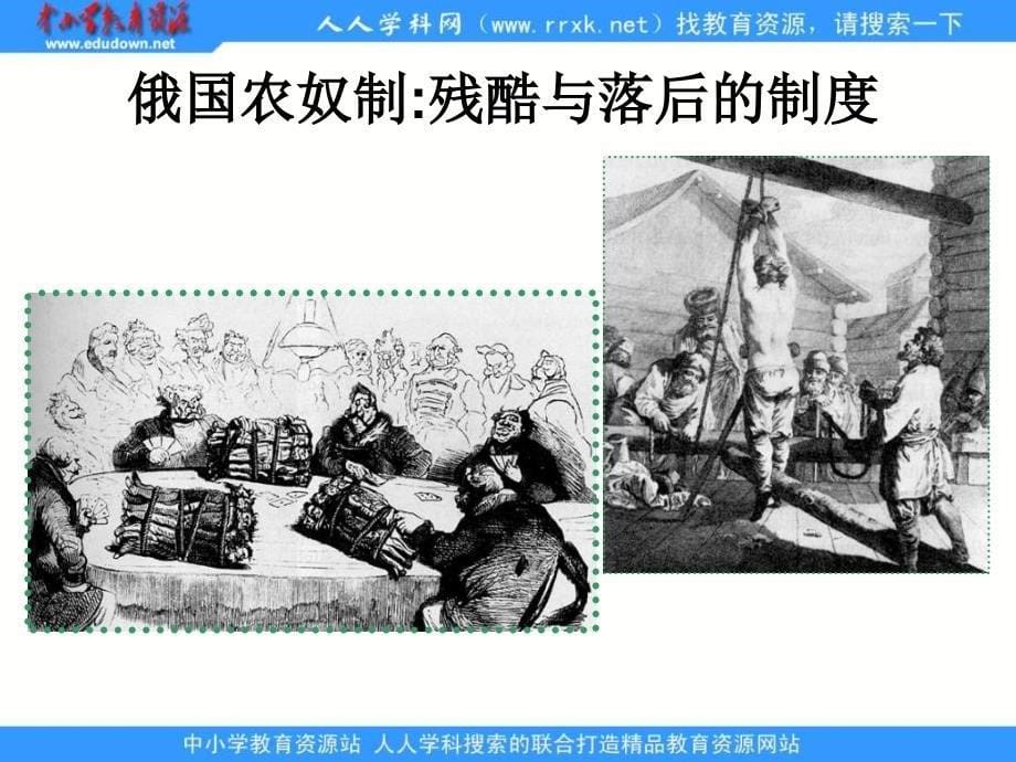 华师大版历史第四册《俄国的改革和资本主义发展》课件1_第5页