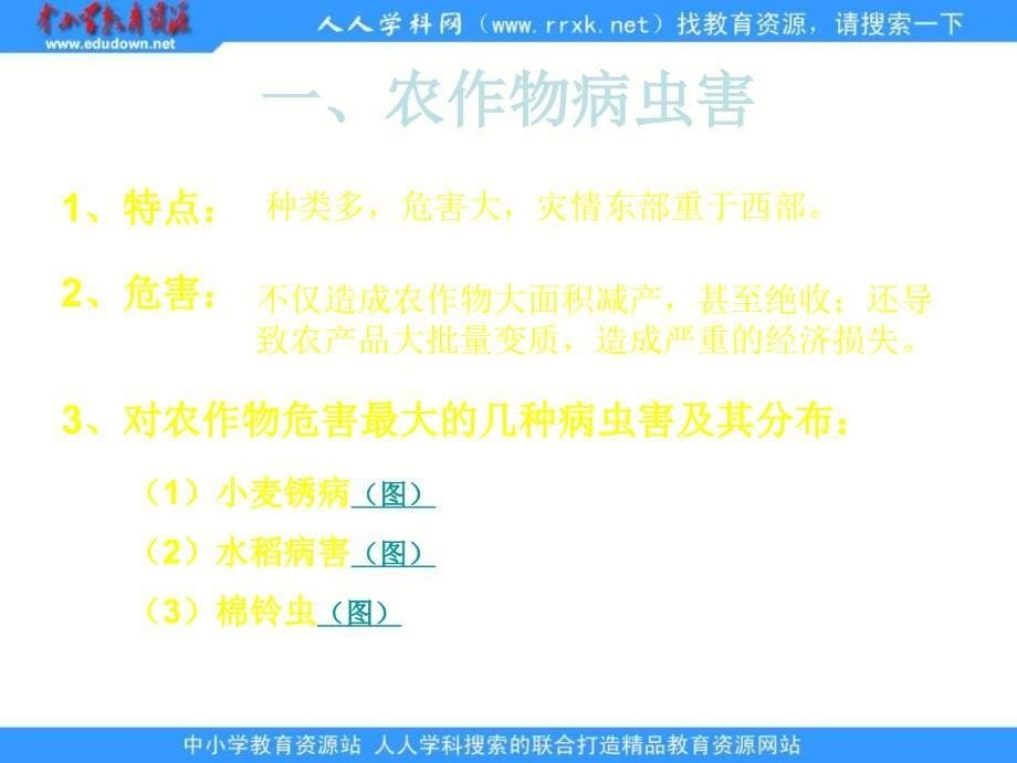 人教版地理选修5《中国的生物灾害》课件2_第5页