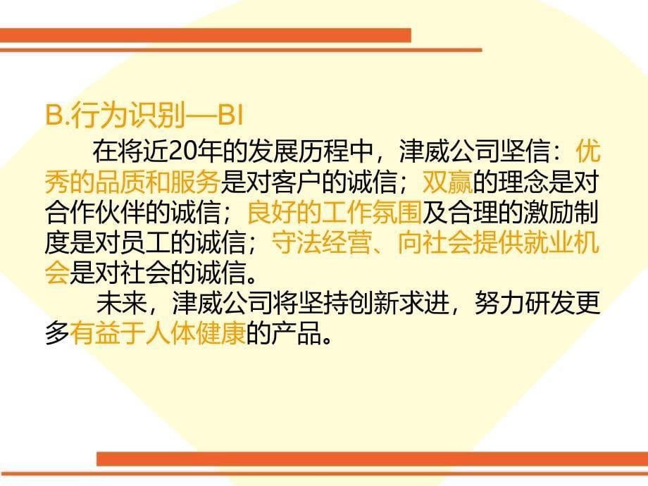 CIS企业形象调查报告书_第5页