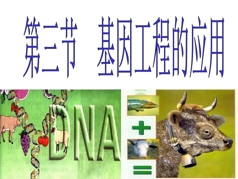 现代生物科技专题基因工程的应用_第1页