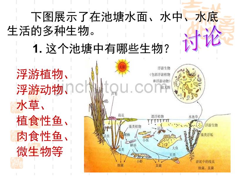 高二生物群落的结构1_第3页