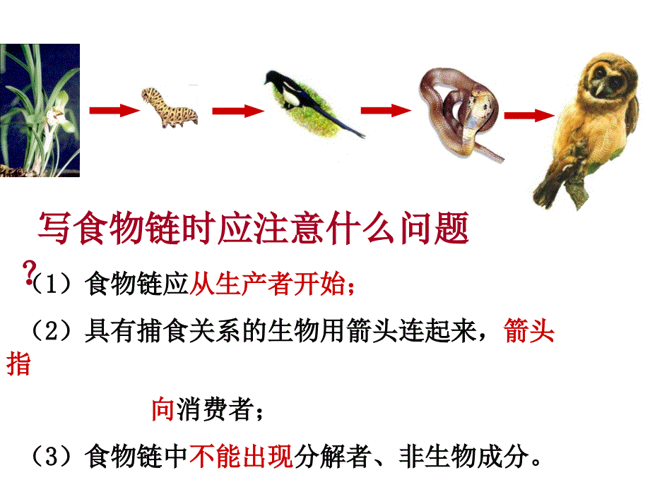 25-2能量流动和物质循环_第1页