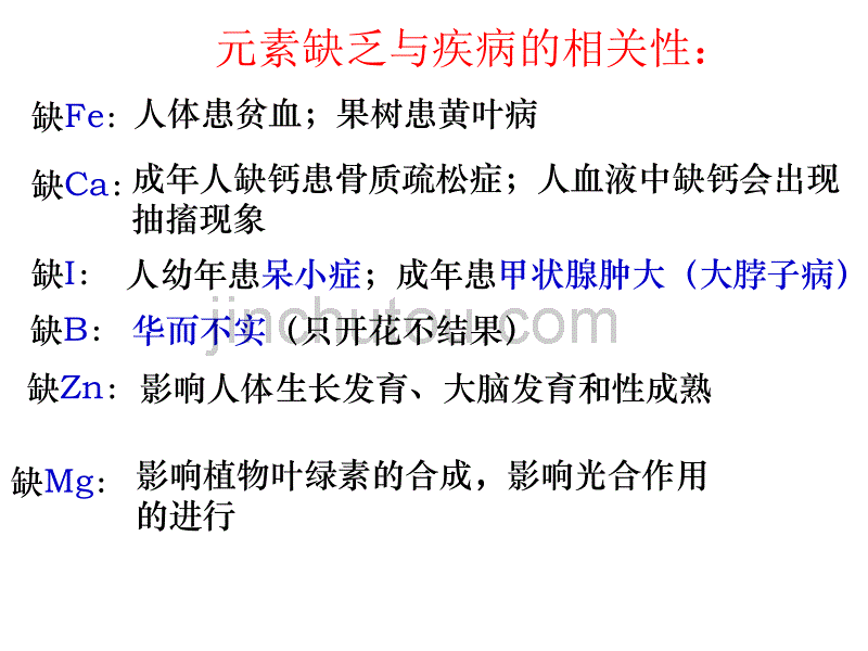 生物《细胞中的元素和化合物及细胞中的无机物》课件(新人教版必修1)_第2页