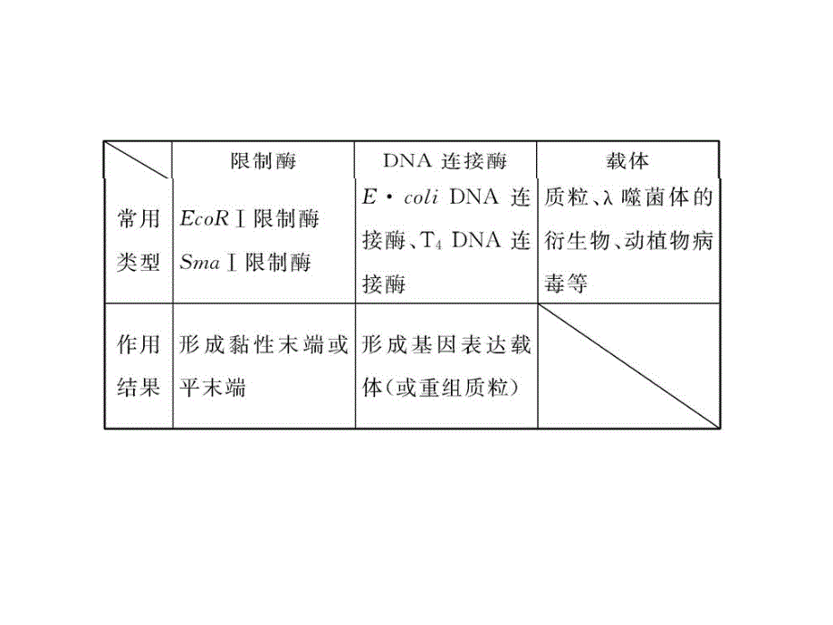 13版生物专题辅导与训练配套课件(江苏专用)9.1基因工程_第4页