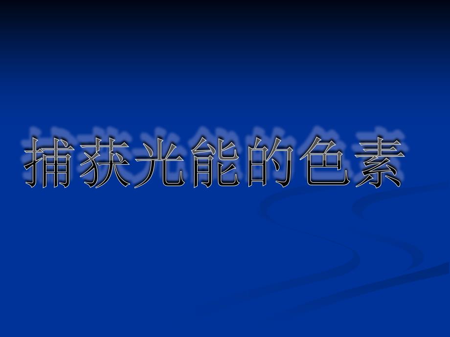 细胞的代谢——光合作用_第2页