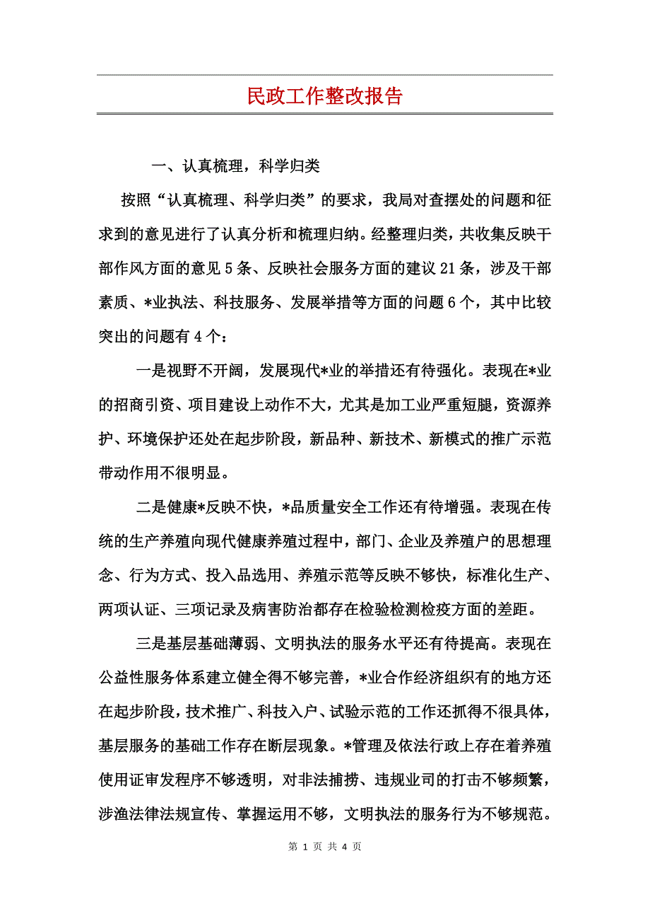 民政工作整改报告_第1页