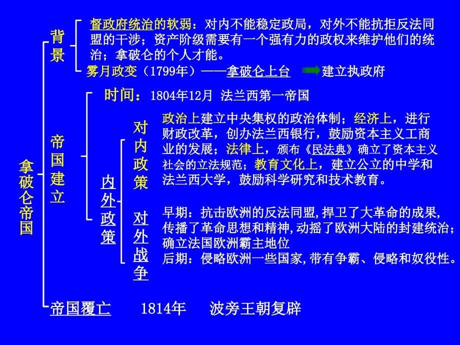 2013岳麓版选修4《法国大革命的捍卫者拿破仑》课件2_第5页