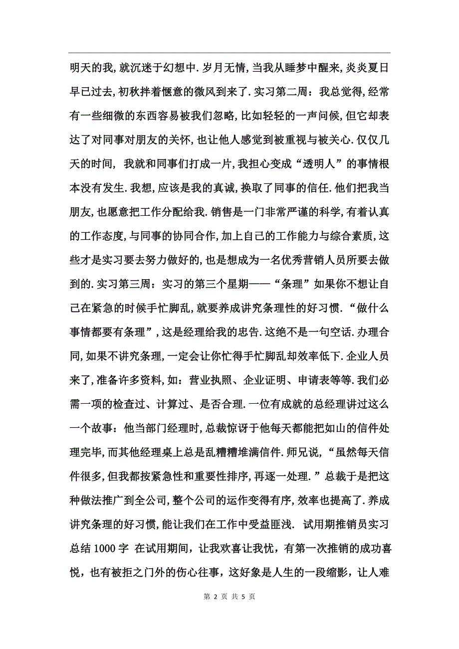 试用期推销员实习总结_第2页