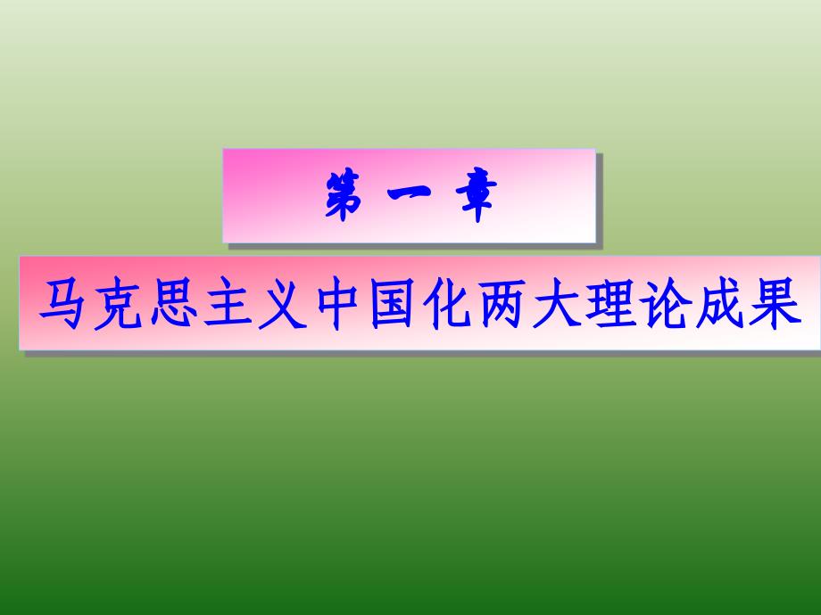 马克思主义中国化两大理论成果_第4页