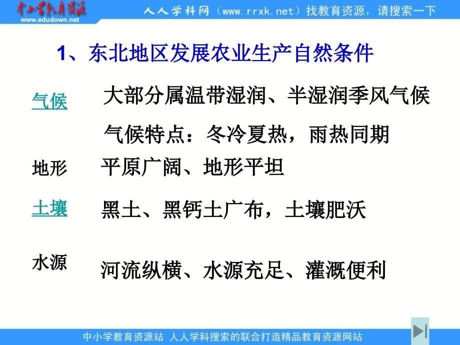 2013年鲁教版必修三《农业与区域可持续发展——以东北地区为例》课件_第5页