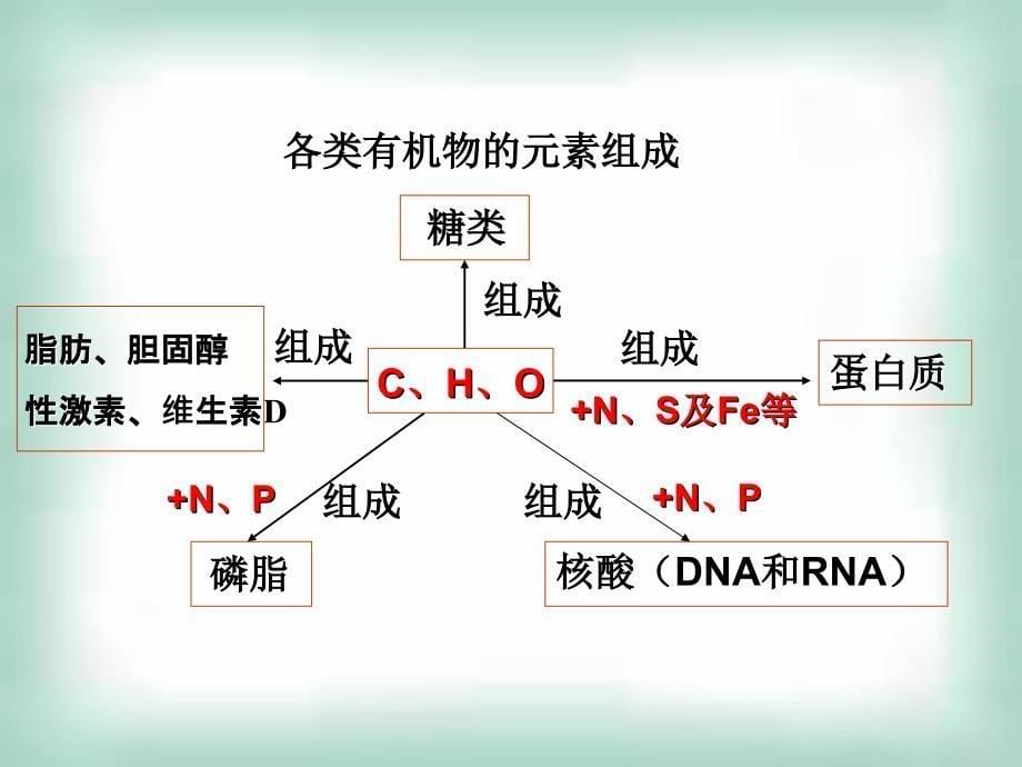 生物必修1(细胞的分子组成)_第5页