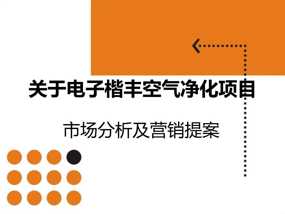 关于电子楷丰空气净化项目_第1页