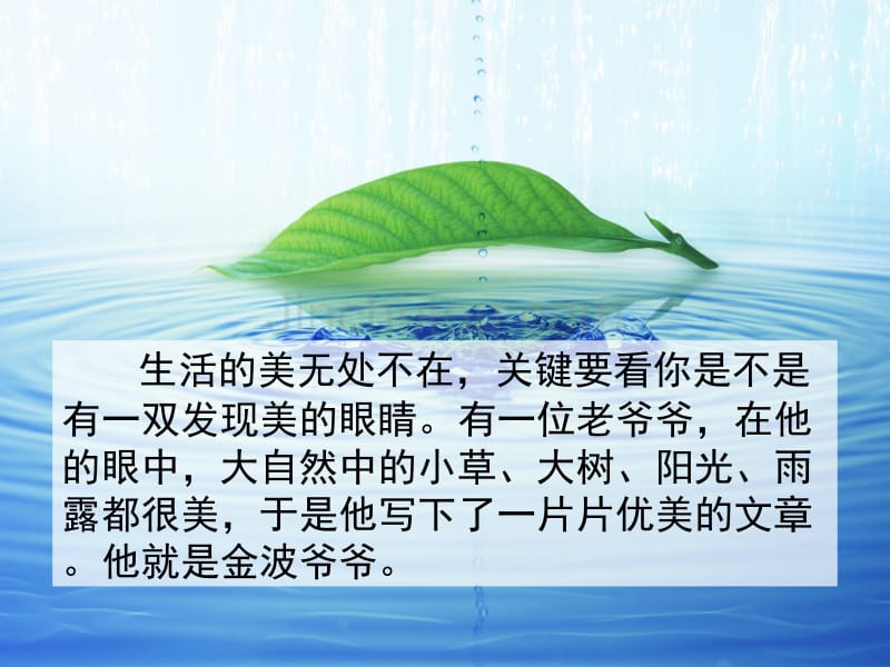 苏教版语文三上《做一片美的叶子》_第1页