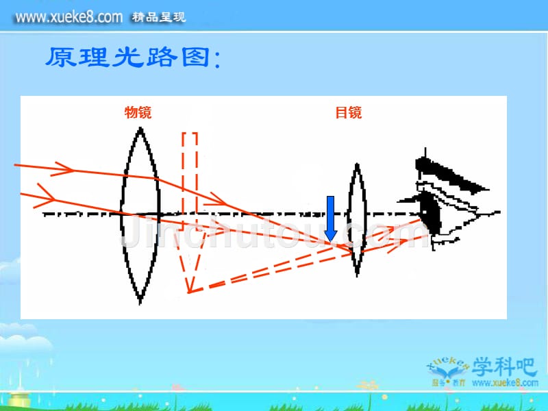 4.7通过透镜看世界课件-教科版八年级物理上册课件_第3页