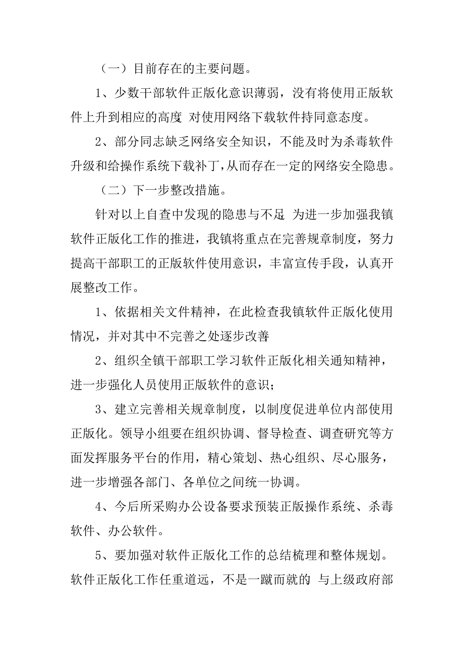 乡镇软件正版化工作总结　_第2页