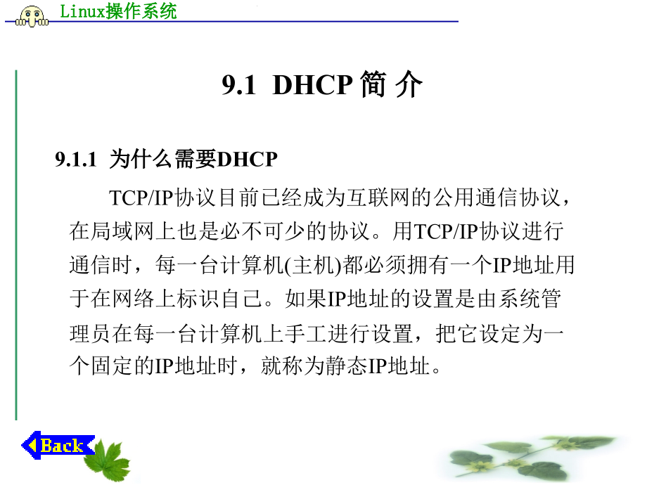 【Linux操作系统】动态主机配置协议DHCP_第2页