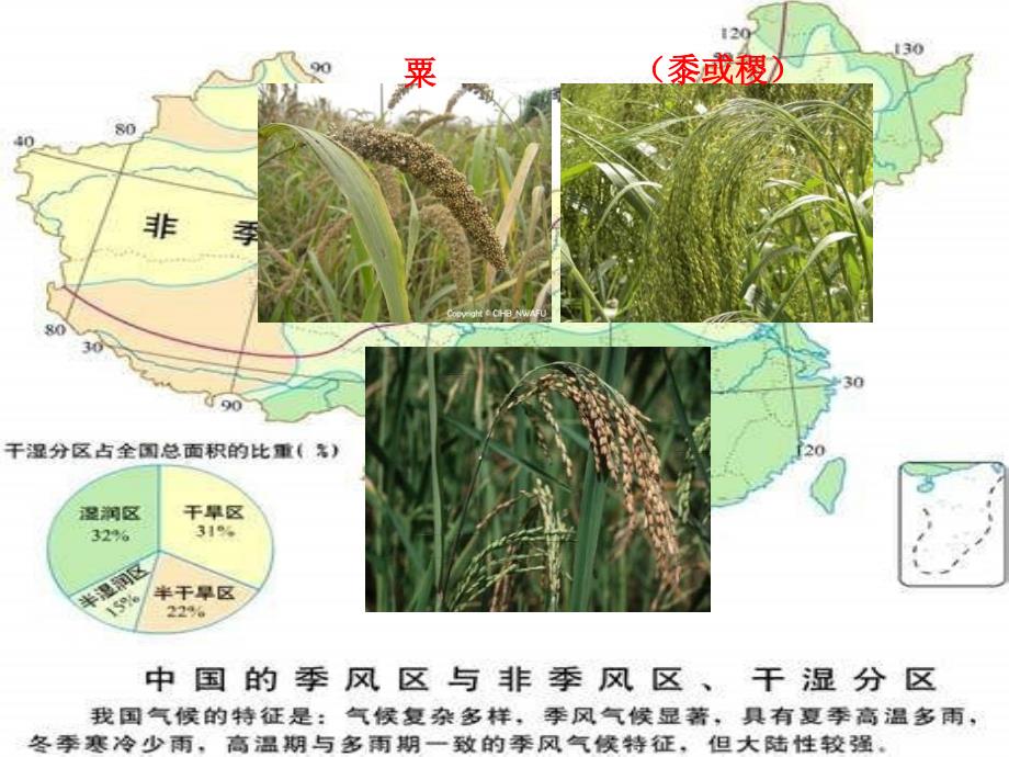 华师大版历史第二册《中华文明的起源》课件_第4页