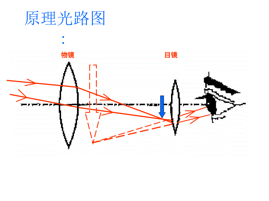 八年级物理通过透镜看世界和彩色世界_第3页