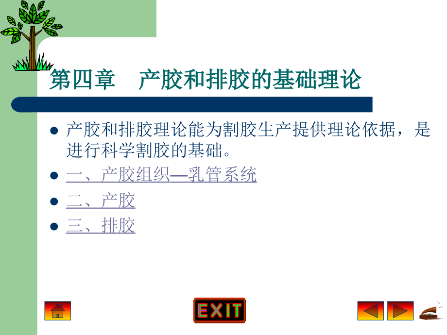 产胶和排胶的基础理论_第1页