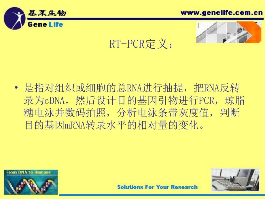 RT-PCR技术简介-GeneLife_第2页