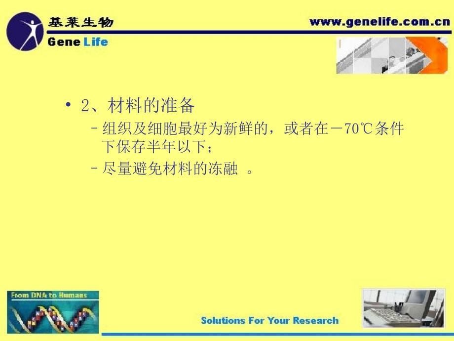 RT-PCR技术简介-GeneLife_第5页