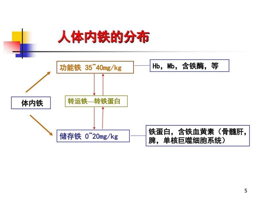 铁剂在慢性透析病人中的应用_第5页