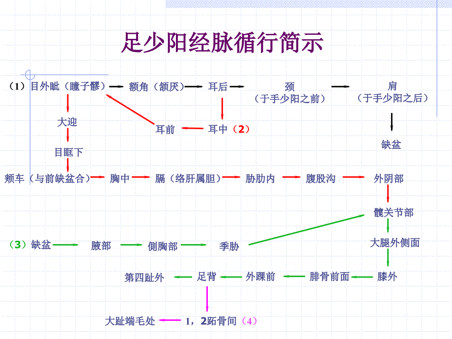 人体经络穴位图谱11胆经_第3页