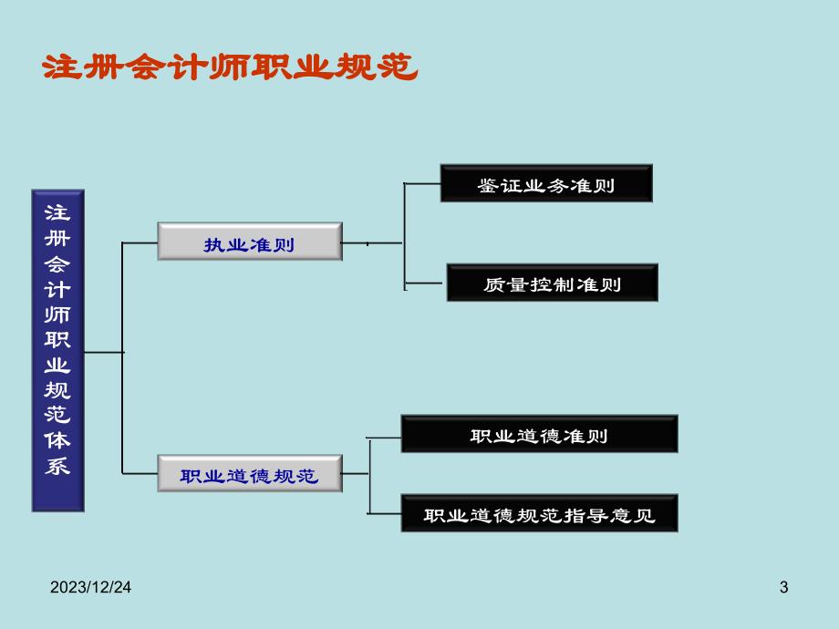 西南财经大学审计审计规范2012-2013_第1页